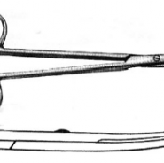 Metzenbaum Delicate Dissection Scissors