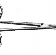 Iris Scissors - straight tip - sharp