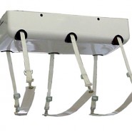 Electric Ceiling Mounted Lift with Straps